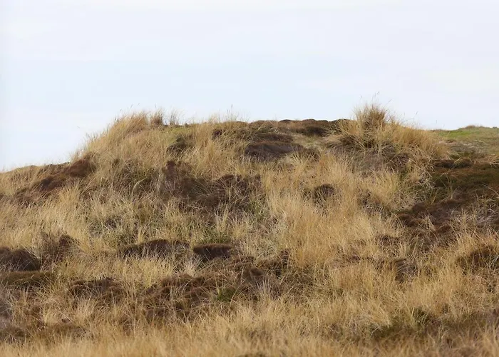 Appartement Ruarklef Kampen
